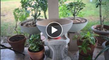 Making Simple Large Concrete Planter